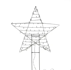 Anna's Collection Gartenstecker Stern mit Beleuchtung 80 cm