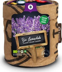 Baza Mini-Garten Bio-Lavendel (Lavandula)