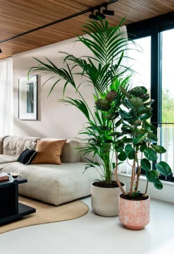 Bela Arte Blumentopf Belem braun D 14 H 13 cm