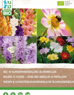 Bio-Blumenzwiebeln für Bienen und Schmetterlinge 25 St.