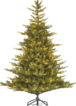 Black Box Künstlicher Weihnachtsbaum Grand Fir mit 550 LEDs warmweiß D 152 H 215 cm
