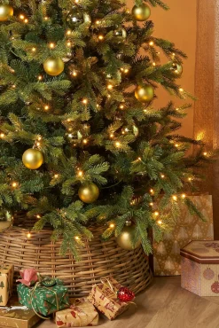 Black Box Künstlicher Weihnachtsbaum Grand Fir mit 550 LEDs warmweiß D 152 H 215 cm