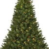 Black Box Künstlicher Weihnachtsbaum Jade slim H 155 cm mit 120 LEDs warmweiß