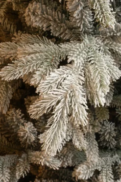 Black Box künstlicher Weihnachtsbaum Grand Fir mit Schnee D 152 H 215 cm