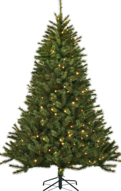 Black Box Künstlicher Weihnachtsbaum Jade slim H 120 cm mit 80 LEDs warmweiß