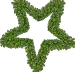 Black Box Weihnachtsstern D 91 cm grün
