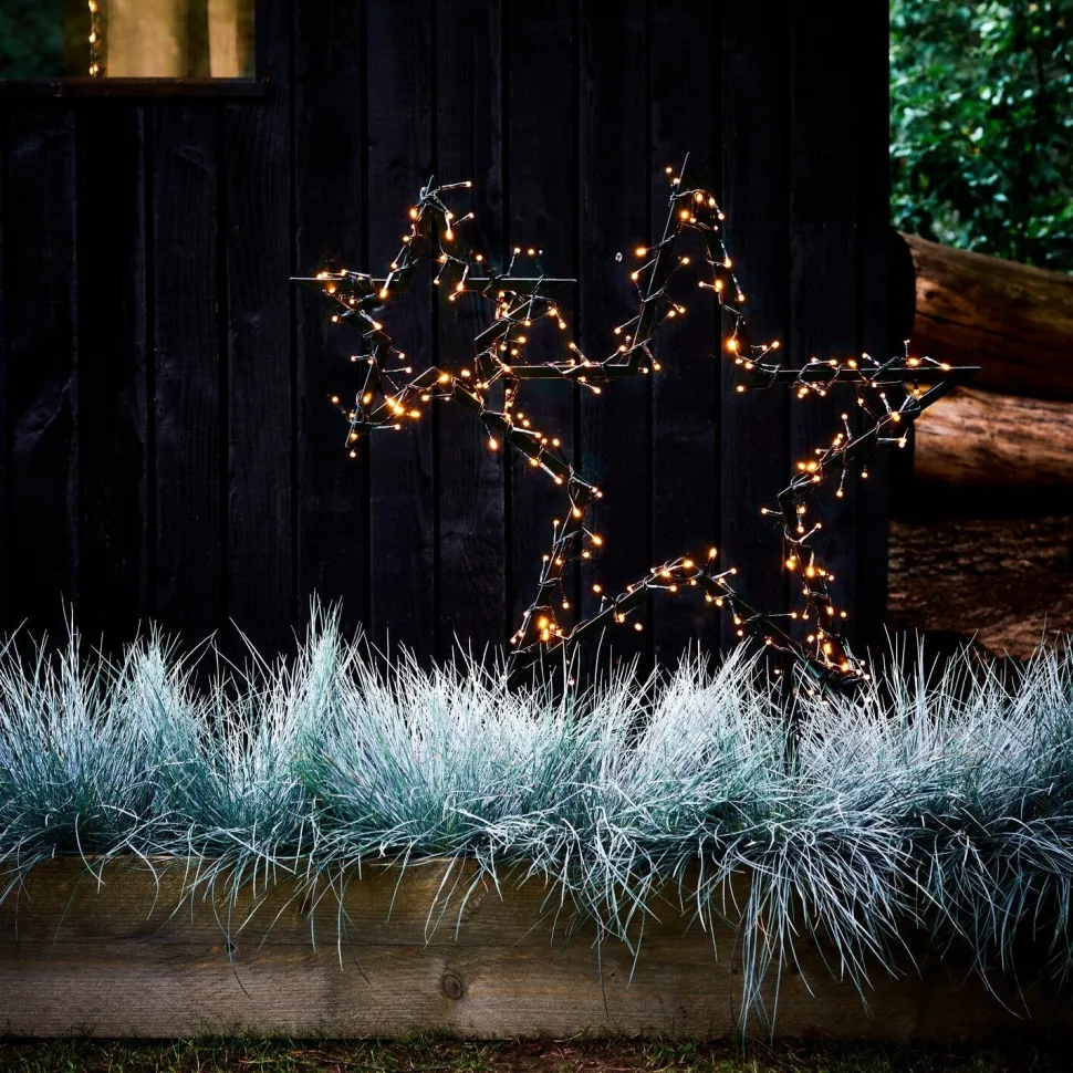 Blauschwingel (Festuca glauca 'Intense Blue') D 17 H 35 cm