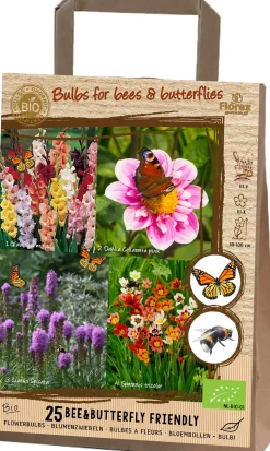 Blumenzwiebeln für Bienen & Schmetterlinge 25 St. (BIO)