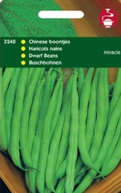 Buschbohnen (Phaseolus vulgaris 'Miracle') Samen