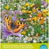 Buzzy® Friendly Flowers Blumensamen-Mischung für Schmetterlinge 50 m²