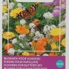 Buzzy® Friendly Flowers Blumen für Schmetterlinge Samen-Mischung für 25 m²