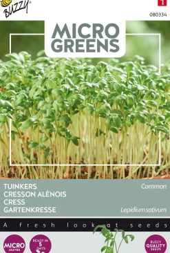 Buzzy® Microgreens Gartenkresse Sprossen (Lepidium sativum) Sprossen (BIO) Samen