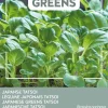 Buzzy® Microgreens Japanische Tatsoi Sprossen (Brassica narinosa) Sprossen (BIO) Samen