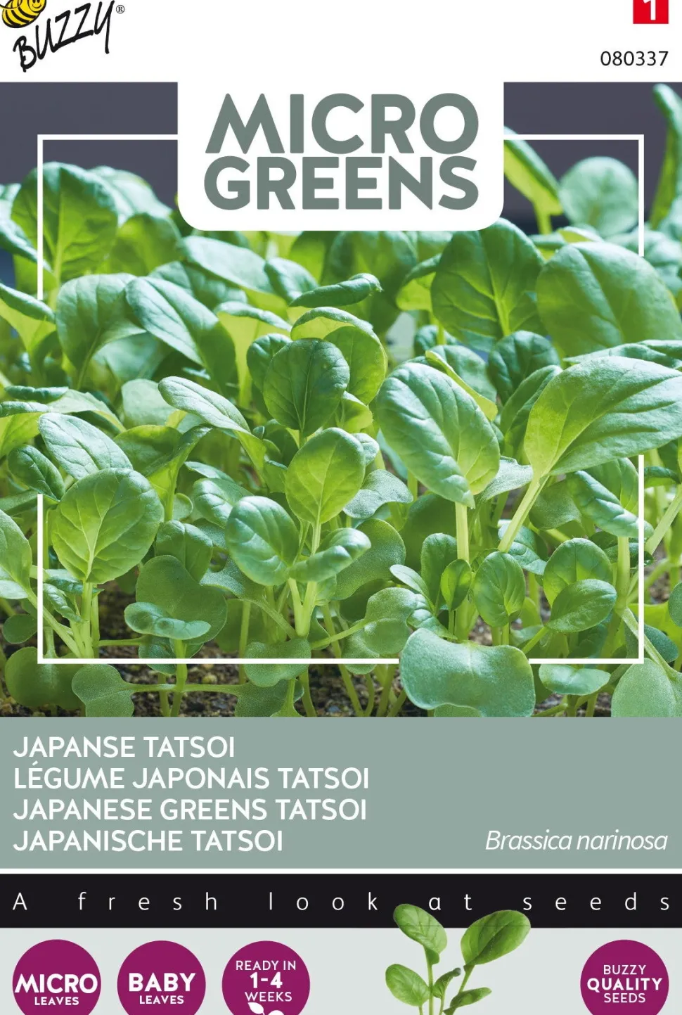 Buzzy® Microgreens Japanische Tatsoi Sprossen (Brassica narinosa) Sprossen (BIO) Samen