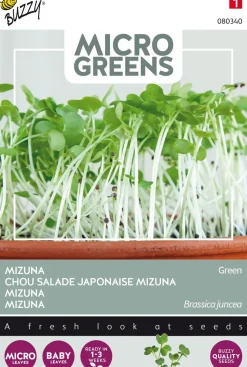 Buzzy® Microgreens Mizuna Sprossen (Brassica rapa) (BIO) Samen