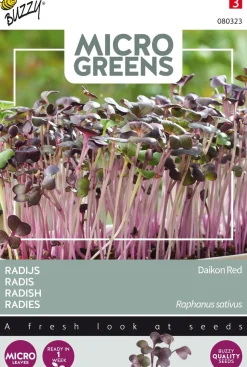 Buzzy® Microgreens Radies Sprossen (Raphanus sativus) Sprossen (BIO) Samen