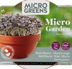 Buzzy® Microgreens Roter Mizuna (Brassica rapa) Kresse-Anzuchtset