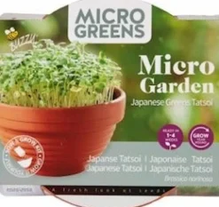 Buzzy® Microgreens Tatsoi (Brassica narinosa) Kresse-Anzuchtset