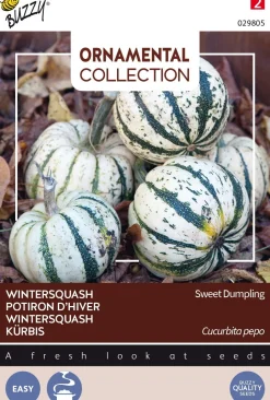 Buzzy® Ornamental Kürbis (Cucurbita pepo 'Sweet Dumpling') Samen