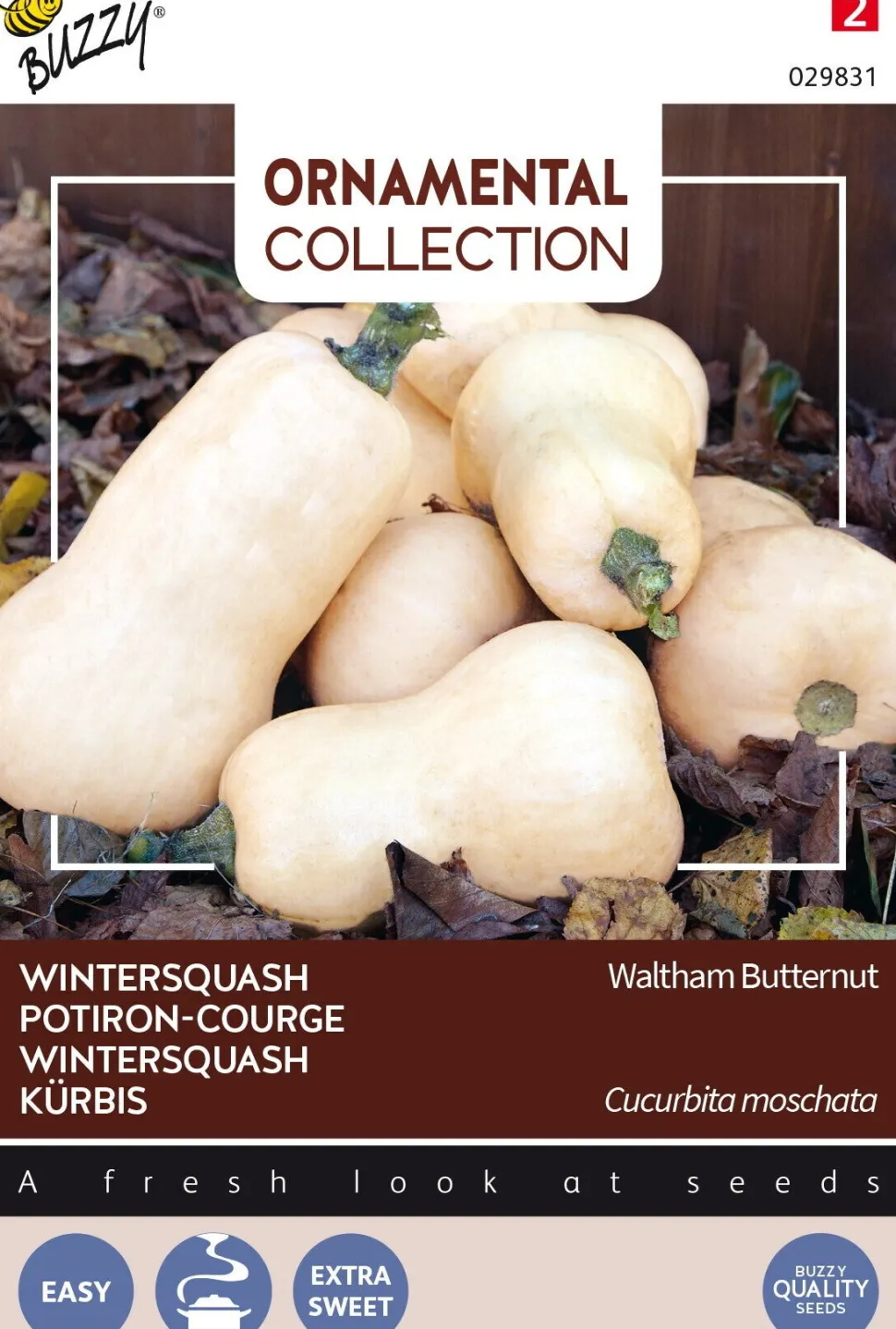 Buzzy® Ornamental Kürbis (Cucurbita moschata 'Waltham Butternut') Samen