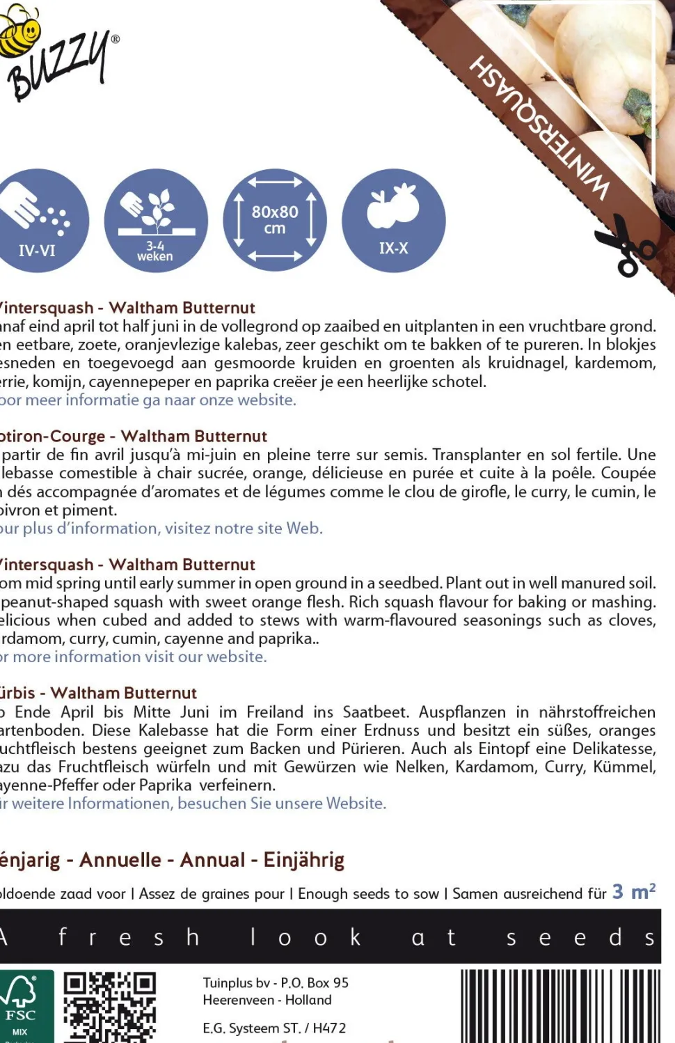 Buzzy® Ornamental Kürbis (Cucurbita moschata 'Waltham Butternut') Samen