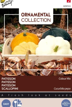 Buzzy® Ornamental Scallopini (Cucurbita pepo 'Colour Mix') Samen