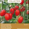 Buzzy® Pomodori Cocktailtomate (Solanum lycopersicum 'Ravello F1') Samen