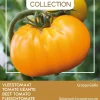 Buzzy® Pomodori Fleischtomate gelb (Solanum lycopersicum 'Grappa Gialla') Samen