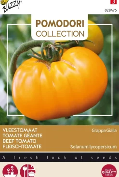 Buzzy® Pomodori Fleischtomate gelb (Solanum lycopersicum 'Grappa Gialla') Samen
