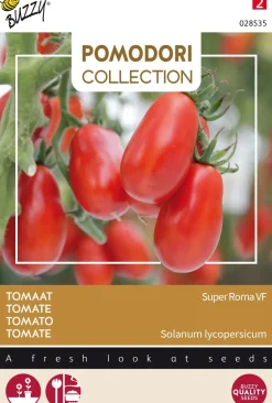 Buzzy® Pomodori Roma-Tomate (Solanum lycopersicum 'Super Roma VF') Samen