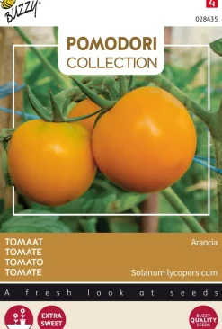 Buzzy® Pomodori Tomate (Solanum lycopersicum 'Arancia') Samen