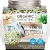 Buzzy® Sprossen Salatmischung Organic Sprouting Anzuchtset