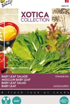 Buzzy® Xotica Baby Leaf Salat (Lactuca sativa) Samen-Mischung