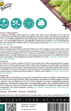 Buzzy® Xotica Bittermelone (Momordica charantia) Samen