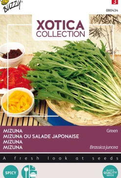 Buzzy® Xotica Mizuna Japanischer Salat (Brassica junicea) Samen