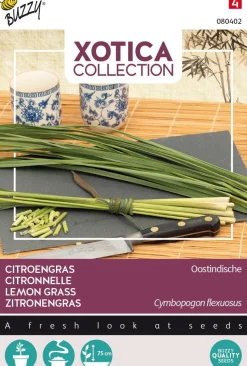 Buzzy® Xotica Zitronengras (Cymbopogon flexuosus) Samen