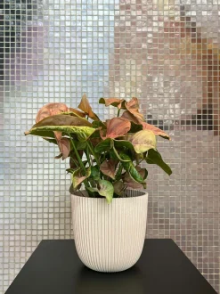 Capi Europe Blumentopf Groove beige D 13 H 12 cm