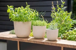 Capi Europe Blumentopf Groove beige D 16,5 H 15 cm