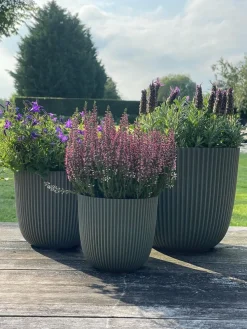 Capi Europe Blumentopf Groove grün D 13 H 12 cm