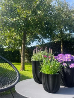 Capi Europe Blumentopf Groove schwarz D 16,5 H 15 cm