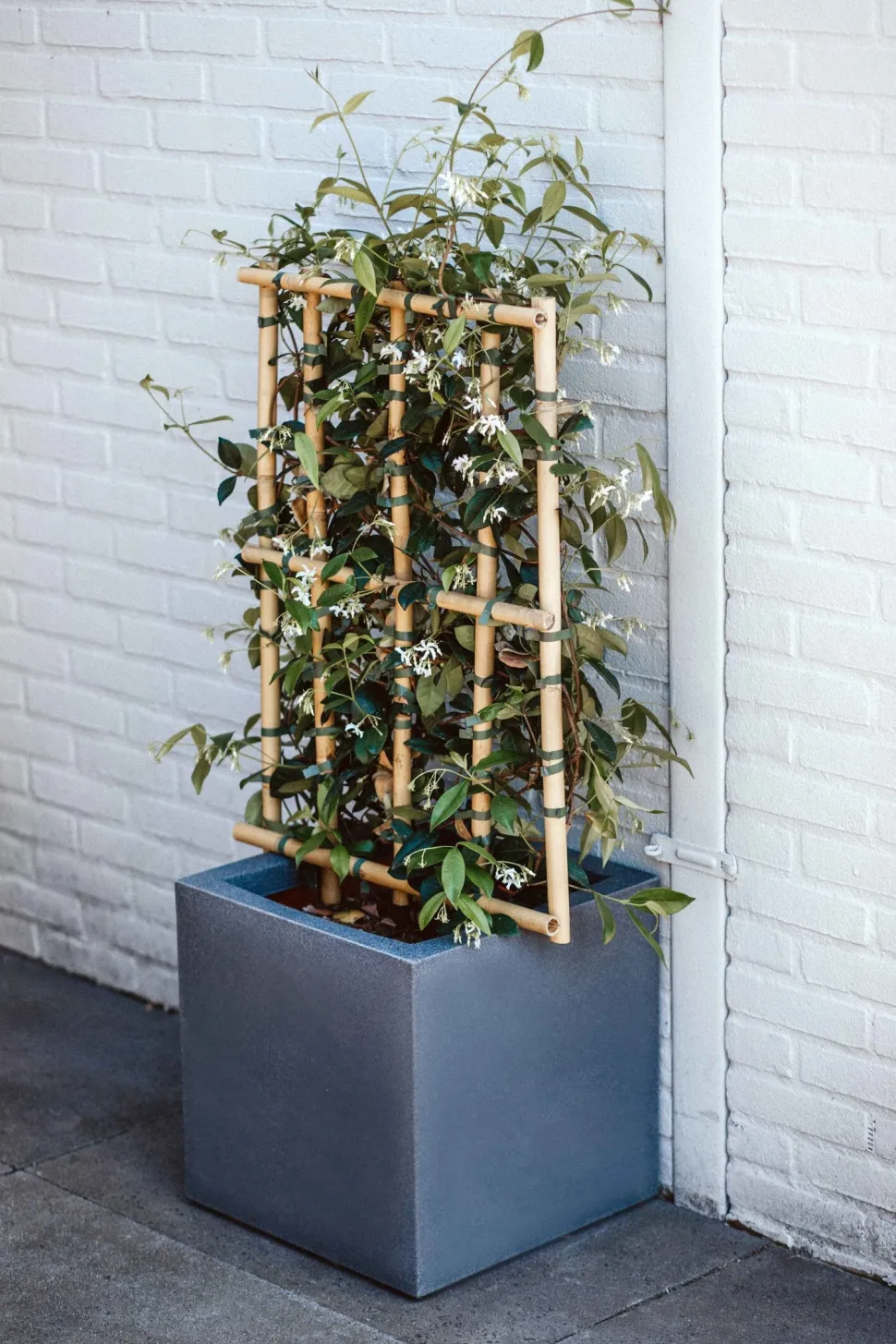 Capi Europe Blumentopf Urban Smooth 40 x 40 x 40 cm grau