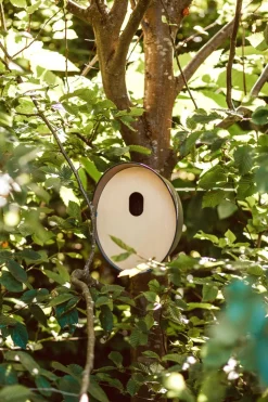 Capi Europe Nistkasten für Star anthrazit 24 x 19 x 23 cm