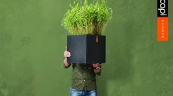 Capi Lux Terrazzo Pflanzkübel quadratisch 40 x 40 x 40 cm schwarz