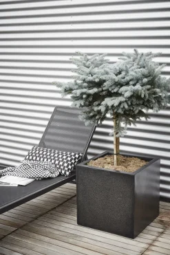 Capi Lux Terrazzo Pflanzkübel quadratisch 20 x 20 x 20 cm schwarz