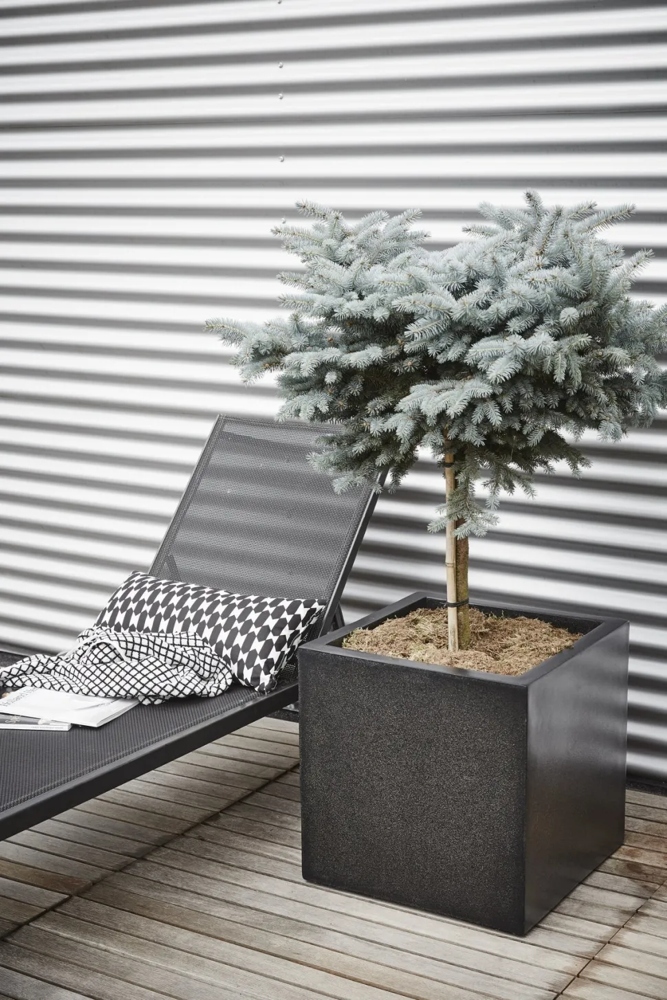 Capi Lux Terrazzo Pflanzkübel quadratisch 20 x 20 x 20 cm schwarz