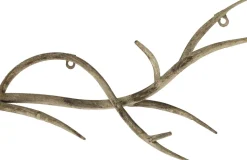 Countryfield Wanddeko Geweih Wendel 22 x 46 x 14,5 cm