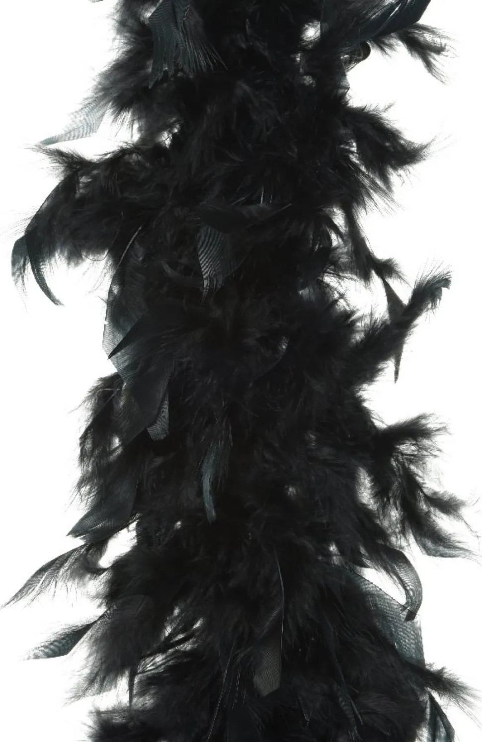 Decoris Federboa schwarz D 15 H 184 cm