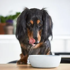 District 70 Hundenapf Bamboo S beige D 14 H 5,2 cm 570 ml