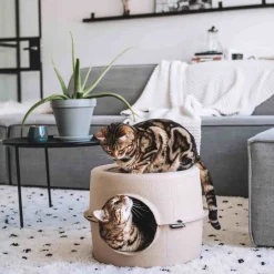 District 70 Katzenkorb Höhle D 44 H 30 cm