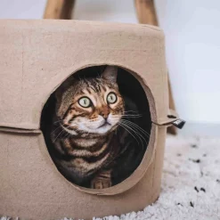 District 70 Katzenkorb Höhle D 44 H 30 cm